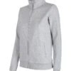 4F Sweatjacke In Grau
