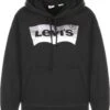 Hoodie Graphic Standard In Rainbow Gradient Caviar -Damenbekleidung levi s hoodie graphic standard in rainbow gradient caviar