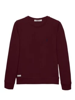POLO CLUB Sweatshirt In Bordeaux